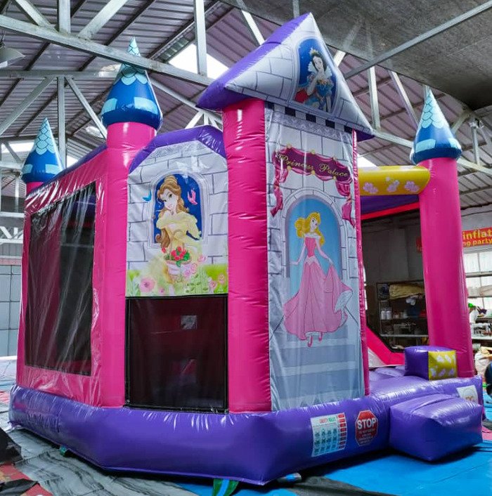 Inflatables & Rides – Go Party & Bounce